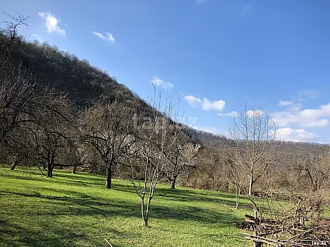 Satılır torpaq sahəsi — Qəbələ