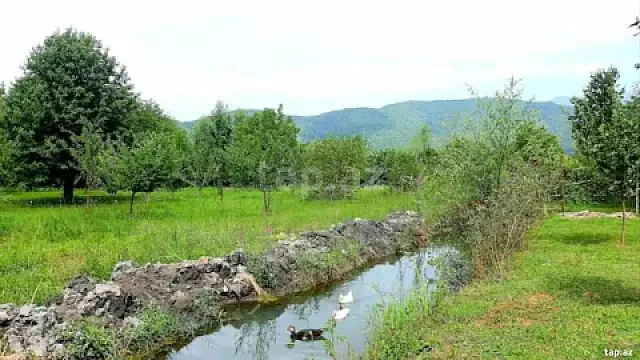 Satılır 7 otaqlı həyət evi 170 m² — Qəbələ 7 otaq 170.00 m²