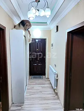 Satılır 3 otaqlı mənzil 74 m² — Göyçay 3 otaq 74.00 m²