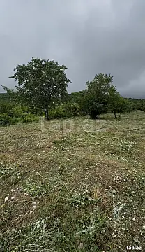Satılır torpaq sahəsi — İsmayıllı