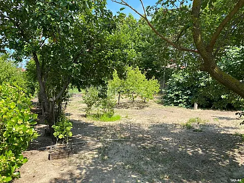 Satılır torpaq sahəsi — Sumqayıt, Novxanı