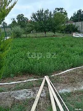 Satılır torpaq sahəsi — Qəbələ