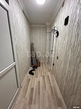 Kirayə verilir 2 otaqlı mənzil 48 m² — Gəncə 2 otaq 48.00 m²