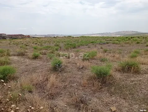 Satılır torpaq sahəsi — Bakı, Novxanı