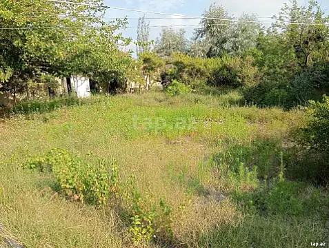 Satılır torpaq sahəsi — Bakı, Novxanı