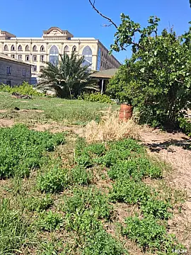 Satılır torpaq sahəsi — Bakı, Şağan