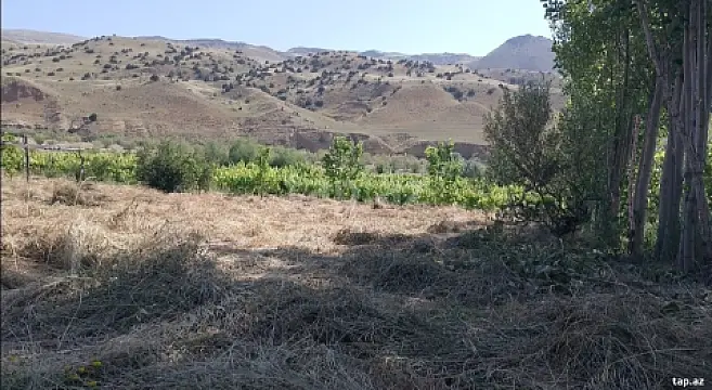 Satılır torpaq sahəsi — Bakı