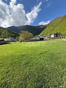 Satılır torpaq sahəsi — Qax