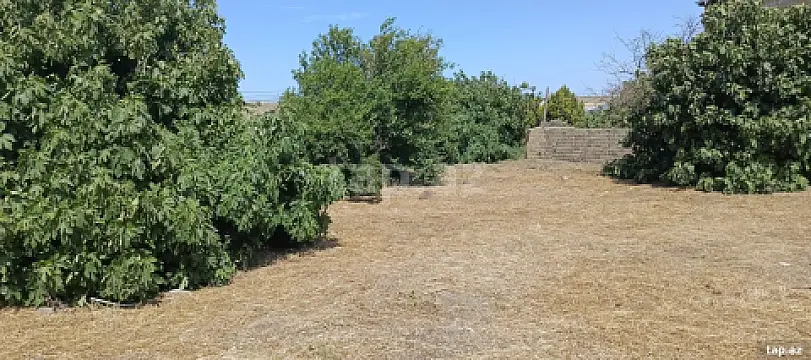 Satılır torpaq sahəsi — Bakı, Abşeron