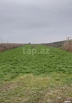 Satılır torpaq sahəsi — Salyan