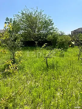 Satılır torpaq sahəsi — Bakı, Novxanı