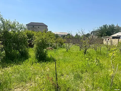 Satılır torpaq sahəsi — Bakı, Novxanı