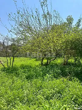 Satılır torpaq sahəsi — Bakı, Novxanı