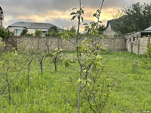 Satılır torpaq sahəsi — Bakı, Novxanı
