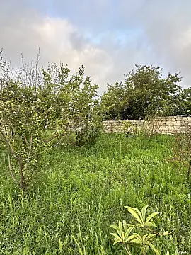 Satılır torpaq sahəsi — Bakı, Novxanı
