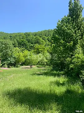 Satılır torpaq sahəsi — Qəbələ