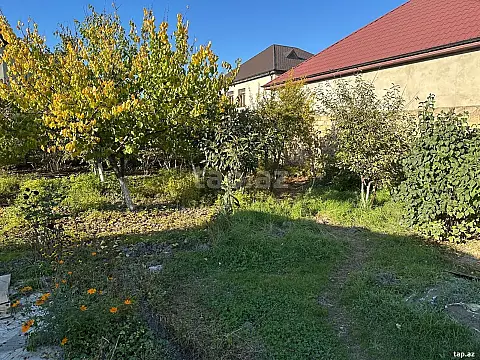 Satılır torpaq sahəsi — Xaçmaz