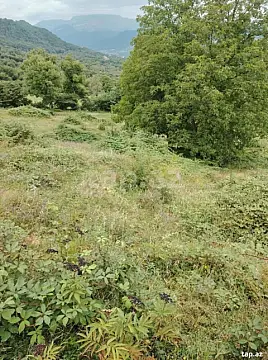 Satılır torpaq sahəsi — Quba