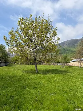 Satılır torpaq sahəsi — Qəbələ