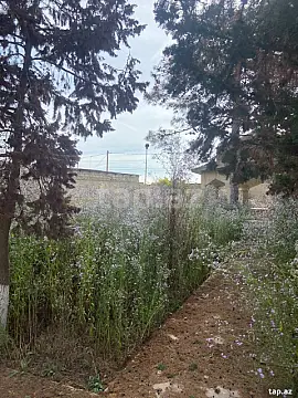 Satılır torpaq sahəsi — Bakı, Mərdəkan