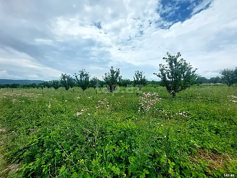 Satılır torpaq sahəsi — Quba