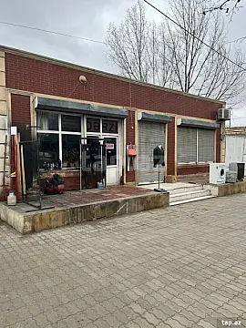 Satılır ofis — Gəncə
