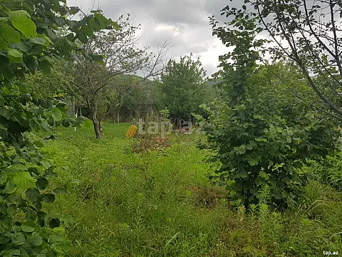Satılır torpaq sahəsi — İsmayıllı