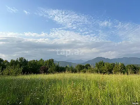 Satılır torpaq sahəsi — Qəbələ