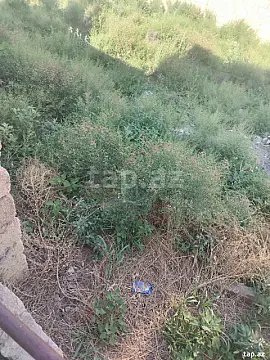 Satılır torpaq sahəsi — Bakı, Masazır