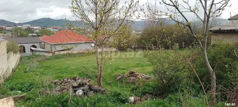 Satılır torpaq sahəsi — Gədəbəy