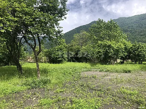 Satılır torpaq sahəsi — Qax