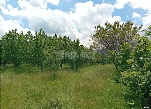 Satılır torpaq sahəsi — Quba
