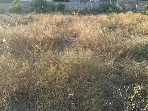 Satılır torpaq sahəsi — Bakı