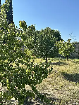 Satılır torpaq sahəsi — Bakı