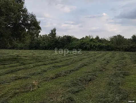 Satılır torpaq sahəsi — Qəbələ