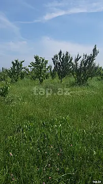 Satılır torpaq sahəsi — Quba