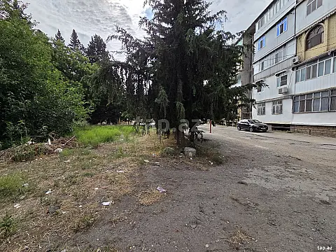 Satılır torpaq sahəsi — Şirvan