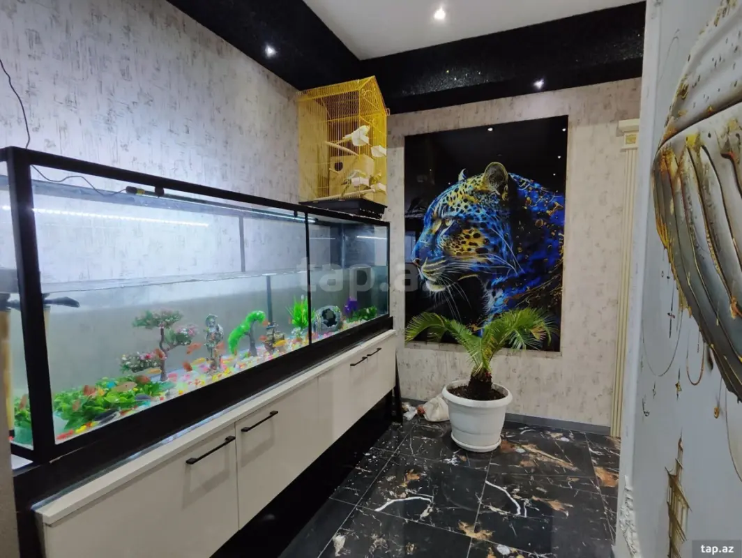 Satılır 4 otaqlı yeni tikili 123 m²