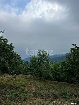 Satılır torpaq sahəsi — Quba