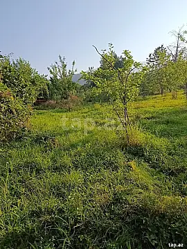 Satılır torpaq sahəsi — İsmayıllı