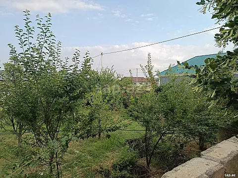 Satılır torpaq sahəsi — Oğuz