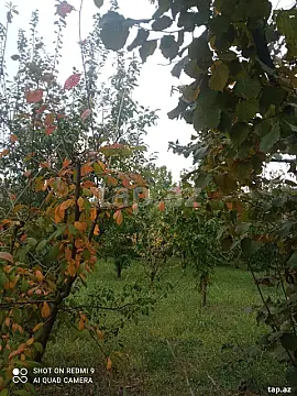 Satılır torpaq sahəsi — Quba