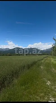 Satılır torpaq sahəsi — Qəbələ