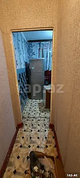 Kirayə verilir 1 otaqlı mənzil 36 m² — Sumqayıt 1 otaq 36.00 m²