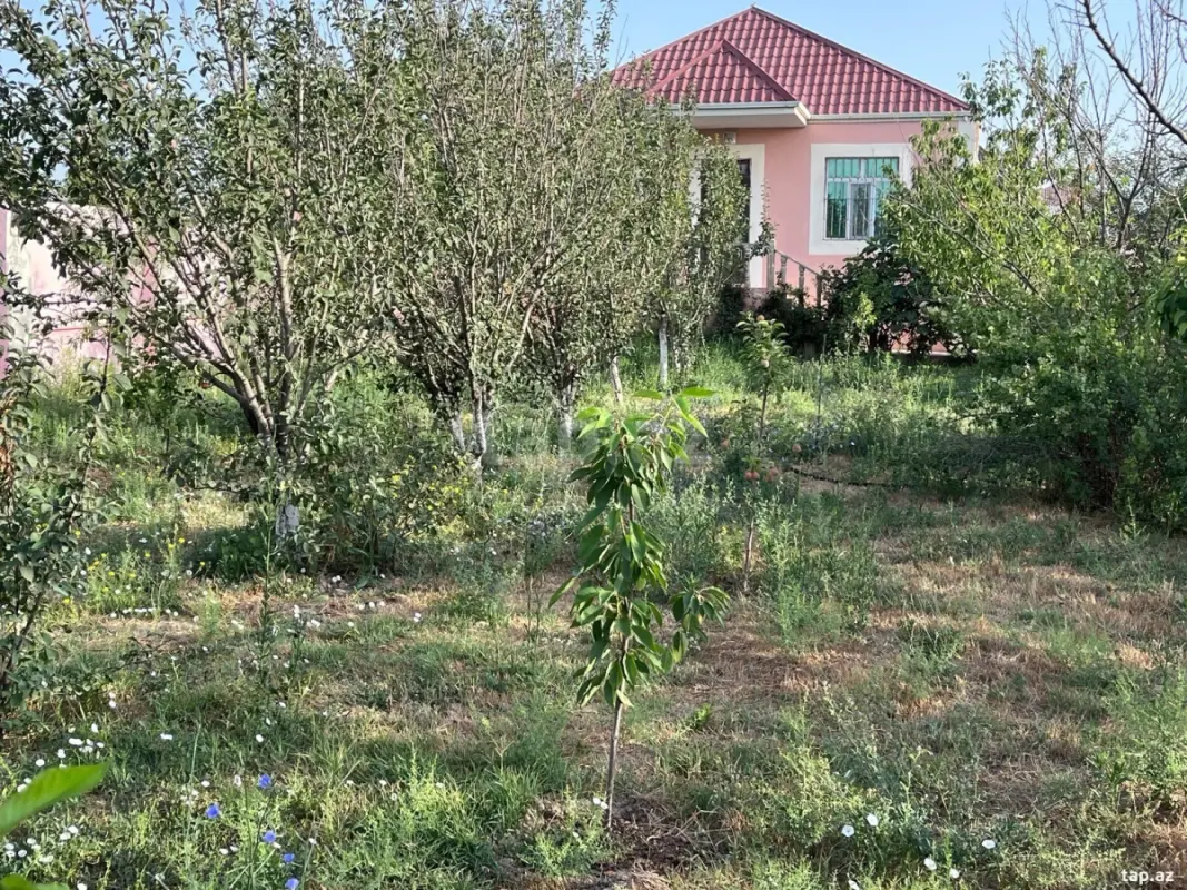 Kirayə verilir 4 otaqlı həyət evi 110 m²