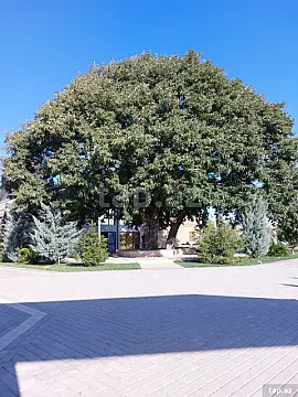Satılır 8 otaqlı həyət evi 750 m² — Astara 8 otaq 750.00 m²