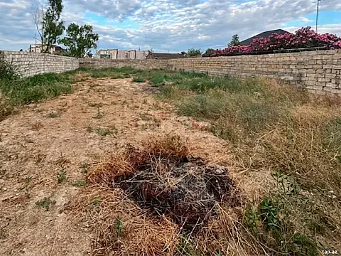 Satılır torpaq sahəsi — Bakı, Buzovna