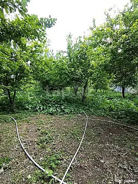 Satılır torpaq sahəsi — İsmayıllı