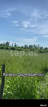 Satılır torpaq sahəsi — Balakən