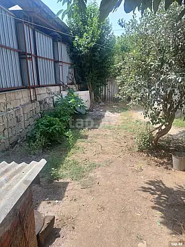 Satılır torpaq sahəsi — Masallı